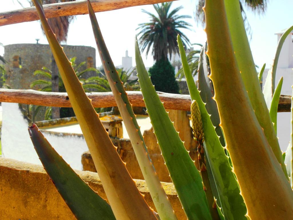 Patio De La Luna Asilah Exterior photo