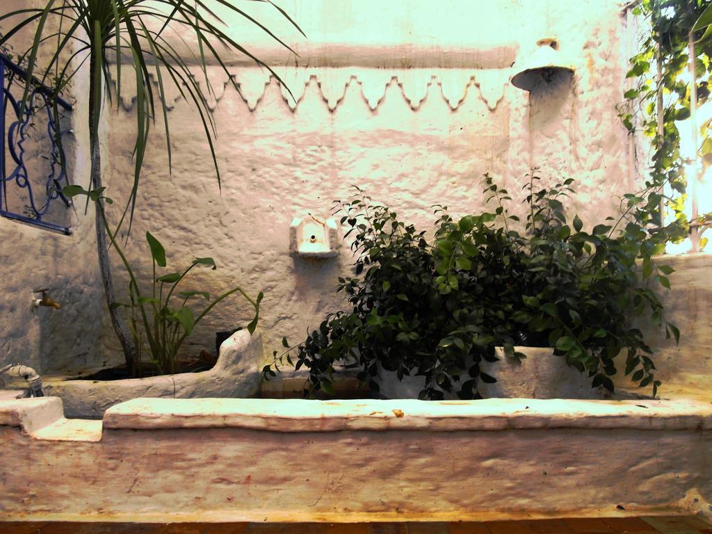 Patio De La Luna Asilah Exterior photo